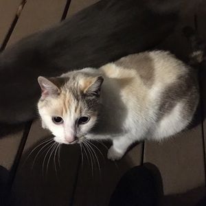 Meet your Posher, Grace